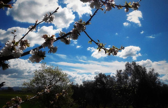 Agriturismo San Matteo - Foto 30