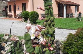 Il Casale di Lucullo - Foto 16