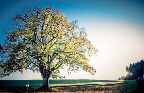 Ferienhof Stöhrmühle - Foto 39