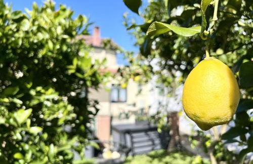 La Casuca de Orejo - Monabri - Foto 13