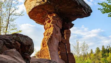 Ferienwohnung Schlabbeflicker Pirmasens - Foto 4