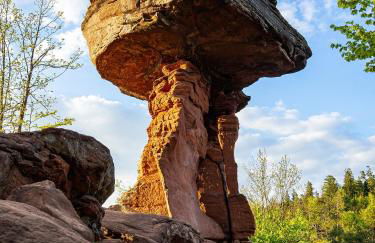 Ferienwohnung Schlabbeflicker Pirmasens - Foto 4