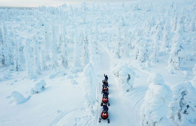 Schneemobilsafari für Erwachsene mit Einzel-Schneemobilen - Ab Levi - Foto 4