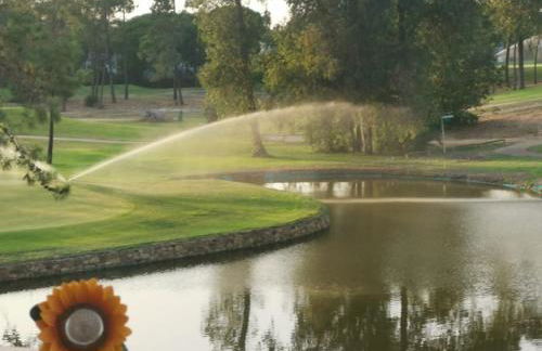 Laguna Golf, Hoyo 17, Islantilla - Photo 17