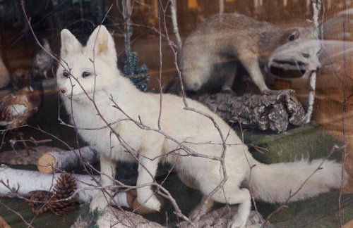 Luxurious sky loft with giant soaker tub, steam room, views - Foto 14
