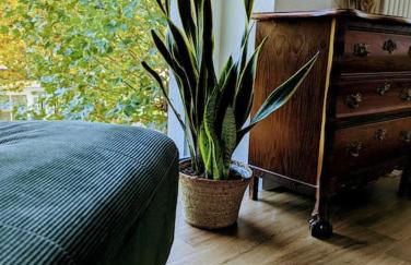 Gemütlich und zentral - Foto 10