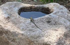 il peperino - Foto 18