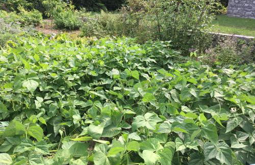 Landhaus Almyssen - Foto 49