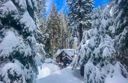 Cozy Yosemite Cabin with Hot Tub in the Pines - Foto 16