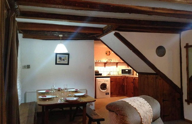 Relaxing Holiday in Millpond Cottage - Cwmiar - Photo 10