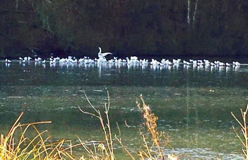 The Old Dairy - Foto 25