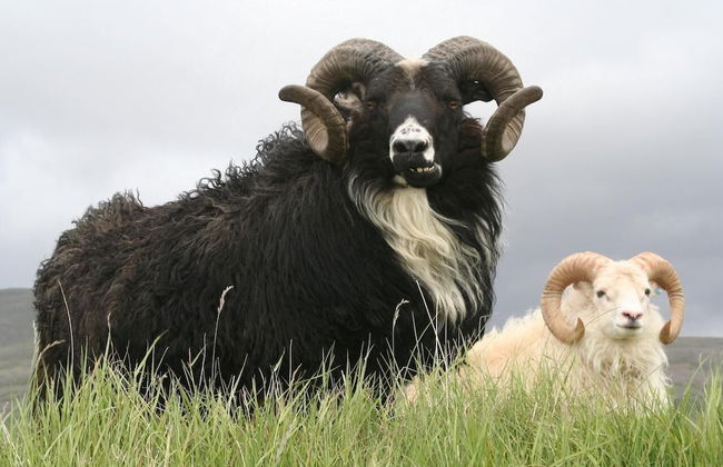 Stafafell Cottages - Foto 10