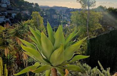 Noahs Paradise - Foto 24