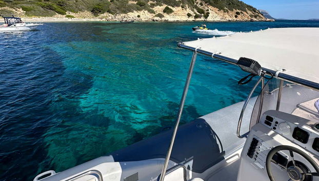 Avvistamento dei delfini sull'isola di Figarolo - Foto 2