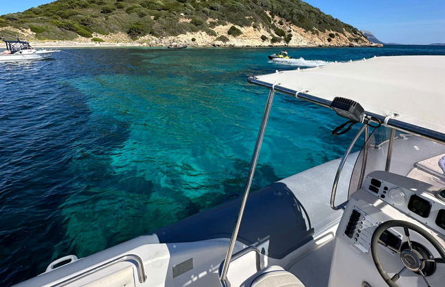 Avistamiento de delfines en la isla de Figarolo - Foto 2