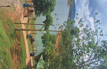 Chácara Vista do Paraíso- Igaratá - Foto 9