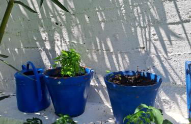 Casa TORAJA - Foto 7