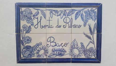 Monte do Ribeiro Baço - Monsaraz - Foto 2