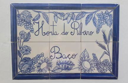 Monte do Ribeiro Baço - Monsaraz - Foto 2