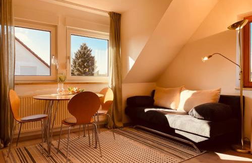 meinGästehaus im Fränkischen Seenland - Foto 13