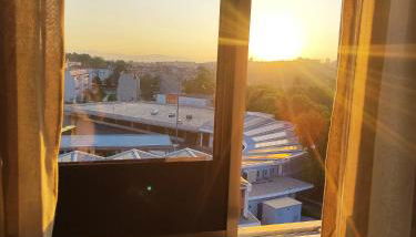 Flor da Providência - Foto 5