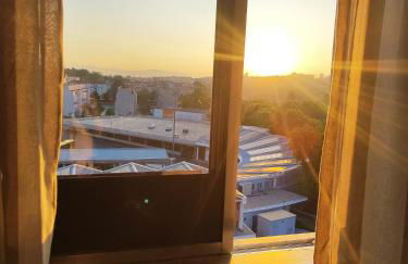 Flor da Providência - Foto 5