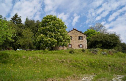 Agriturismo Giandriale - Photo 38