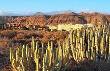 Casa Martin - Foto 37