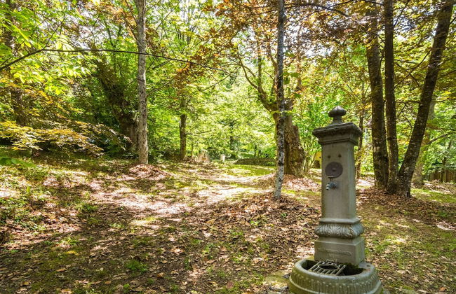 Holiday Home Pistoia With Pool - Photo 31