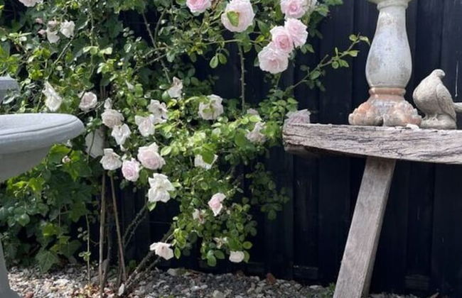 Schwanen Herz Comfortable Holiday Residence - Foto 26