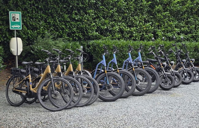 Holiday Home in Garderen by Veluwe - Photo 26