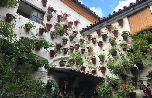 Aroma de azahar, en San Basilio - Foto 23