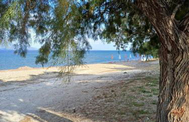 Anatoli apartment - Photo 15