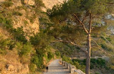 House with swimming pool and amazing sea and mountain views in Montgó, Denia - Photo 69
