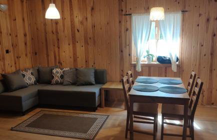 Uroczy drewniany domek w Charzykowach - Foto 10