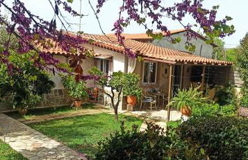 Mozart House Studio - Foto 23