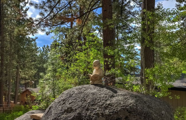 NEW Zephyr Cove Zen - Hot tub & Summer Pool - Foto 40