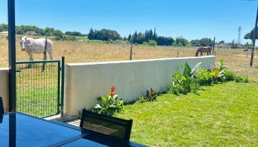 Le 255-côté jardin - Photo 4