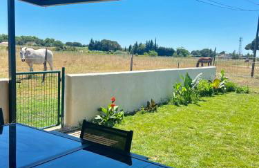 Le 255-côté jardin - Photo 4