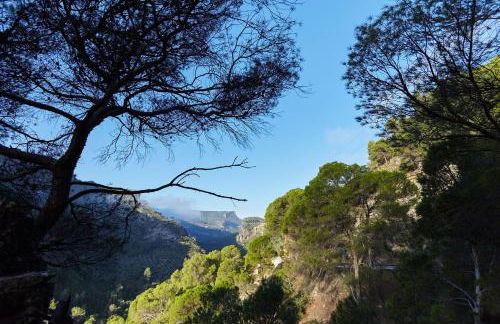 La Casa De La Abuela Clotilde - Foto 15