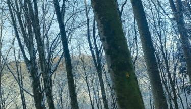 home edwige - Foto 5