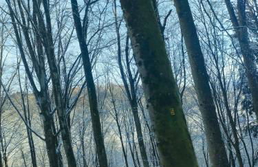 home edwige - Foto 5