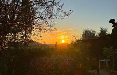 La Limonaia di Vanna - Foto 41