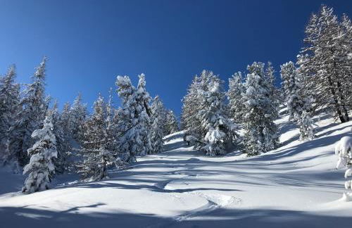 L'Etesy, pied des pistes et spa - Photo 45