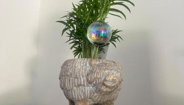 The Little Red lion - Foto 3