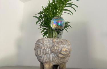 The Little Red lion - Foto 3