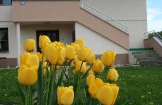 Apartman Arena - Foto 8