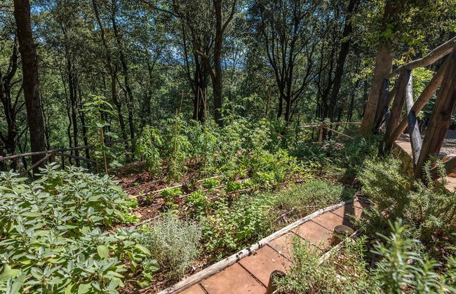 Villa Rinaldi 6 in Carpineta - Foto 17