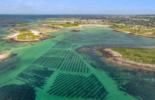 Les Terrasses de la Palud - Foto 44