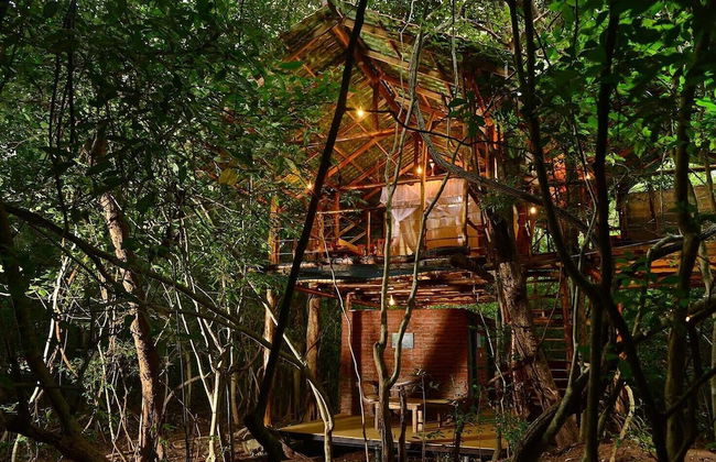 Back of Beyond - Pidurangala - Photo 29